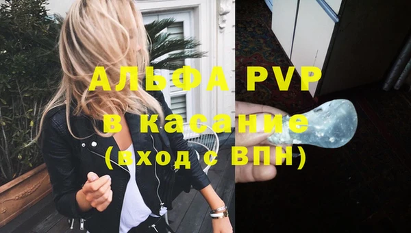 стафф Нефтекумск